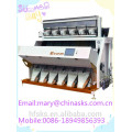 newest software color sorter machine for walnut